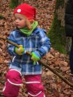 Wald